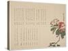 Flowering Camellia, C.1818-1829-Hyakuj?-Stretched Canvas
