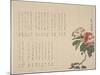 Flowering Camellia, C.1818-1829-Hyakuj?-Mounted Giclee Print