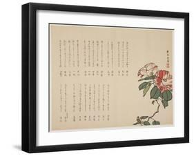 Flowering Camellia, C.1818-1829-Hyakuj?-Framed Giclee Print