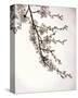 Flowering Cherry I-Kathy Mahan-Stretched Canvas