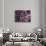 Flowering Cherry Tree, Ct-Kurt Freundlinger-Premium Photographic Print displayed on a wall