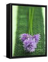 Flowering Chives-Elisabeth Cölfen-Framed Stretched Canvas