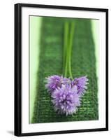 Flowering Chives-Elisabeth Cölfen-Framed Photographic Print