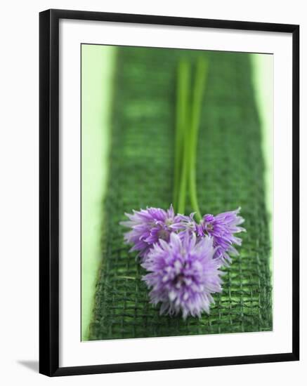 Flowering Chives-Elisabeth Cölfen-Framed Photographic Print