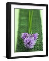 Flowering Chives-Elisabeth Cölfen-Framed Photographic Print