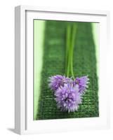 Flowering Chives-Elisabeth Cölfen-Framed Photographic Print