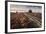 Flowering Common Heather (Calluna Vulgaris) on Heathland, Arne Rspb Reserve, Dorset, England, UK-Ross Hoddinott-Framed Photographic Print