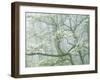 Flowering Dogwood in foggy forest, Shenandoah National Park, Virginia, USA-Charles Gurche-Framed Photographic Print