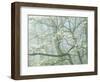 Flowering Dogwood in foggy forest, Shenandoah National Park, Virginia, USA-Charles Gurche-Framed Photographic Print