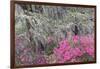 Flowering dogwood trees and azaleas in spring, Bonaventure Cemetery, Georgia-Adam Jones-Framed Photographic Print