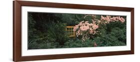 Flowering Dogwood with a Garden Gate, Anacortes, Fidalgo Island, Skagit County, Washington State...-null-Framed Photographic Print