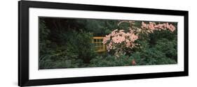 Flowering Dogwood with a Garden Gate, Anacortes, Fidalgo Island, Skagit County, Washington State...-null-Framed Photographic Print