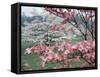 Flowering Dogwood-Henry Groskinsky-Framed Stretched Canvas