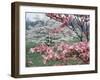 Flowering Dogwood-Henry Groskinsky-Framed Photographic Print