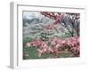 Flowering Dogwood-Henry Groskinsky-Framed Photographic Print