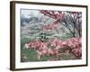 Flowering Dogwood-Henry Groskinsky-Framed Photographic Print