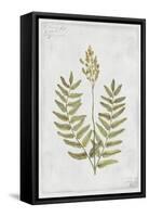 Flowering Fern Stem-PI Collection-Framed Stretched Canvas