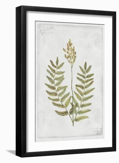 Flowering Fern Stem-PI Collection-Framed Art Print