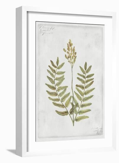 Flowering Fern Stem-PI Collection-Framed Art Print