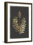 Flowering Fern-PI Collection-Framed Art Print