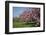 Flowering Fruit Trees in May, Morton Arboretum, Lisle, Illinois, USA-Lynn M^ Stone-Framed Photographic Print