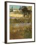 Flowering Garden, 1888-Vincent van Gogh-Framed Giclee Print