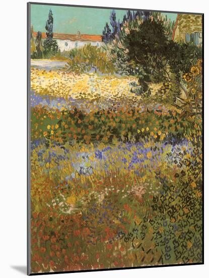 Flowering Garden, 1888-Vincent van Gogh-Mounted Giclee Print