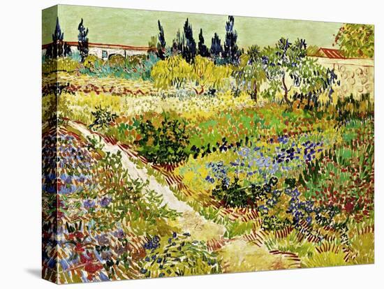 Flowering Garden with Path, Arles, 1888-Vincent van Gogh-Stretched Canvas