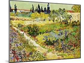 Flowering Garden with Path, Arles, 1888-Vincent van Gogh-Mounted Premium Giclee Print