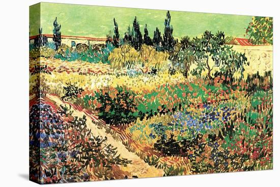 Flowering Garden-Vincent van Gogh-Stretched Canvas