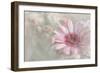 Flowering Happiness-Gilbert Claes-Framed Giclee Print