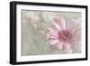 Flowering Happiness-Gilbert Claes-Framed Giclee Print