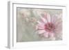 Flowering Happiness-Gilbert Claes-Framed Giclee Print