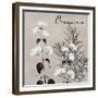 Flowering Herbs II-null-Framed Giclee Print