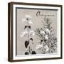 Flowering Herbs II-null-Framed Giclee Print