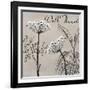 Flowering Herbs III-null-Framed Giclee Print