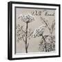 Flowering Herbs III-null-Framed Giclee Print