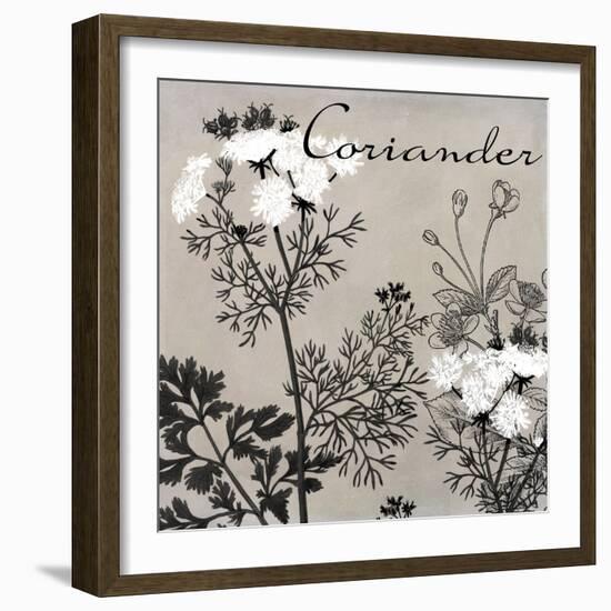 Flowering Herbs IV-null-Framed Giclee Print