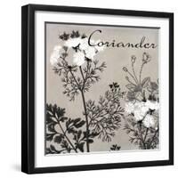 Flowering Herbs IV-null-Framed Giclee Print