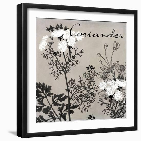 Flowering Herbs IV-null-Framed Giclee Print