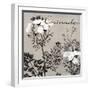 Flowering Herbs IV-null-Framed Giclee Print