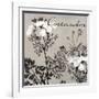 Flowering Herbs IV-null-Framed Giclee Print