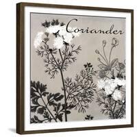 Flowering Herbs IV-null-Framed Giclee Print