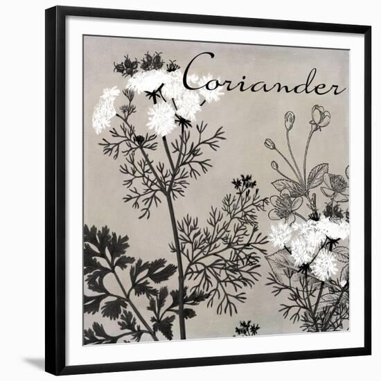 Flowering Herbs IV-null-Framed Giclee Print