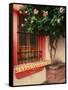 Flowering Hibiscus Near Pink Window, Puerto Vallarta, Mexico-Tom Haseltine-Framed Stretched Canvas