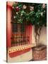 Flowering Hibiscus Near Pink Window, Puerto Vallarta, Mexico-Tom Haseltine-Stretched Canvas