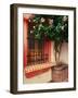 Flowering Hibiscus Near Pink Window, Puerto Vallarta, Mexico-Tom Haseltine-Framed Photographic Print