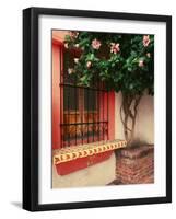 Flowering Hibiscus Near Pink Window, Puerto Vallarta, Mexico-Tom Haseltine-Framed Photographic Print