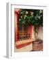 Flowering Hibiscus Near Pink Window, Puerto Vallarta, Mexico-Tom Haseltine-Framed Photographic Print