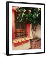 Flowering Hibiscus Near Pink Window, Puerto Vallarta, Mexico-Tom Haseltine-Framed Photographic Print